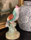Splendid Rare 19C English Staffordshire Tropical Parrot Parakeet Macaw Bird 9” — photo 10