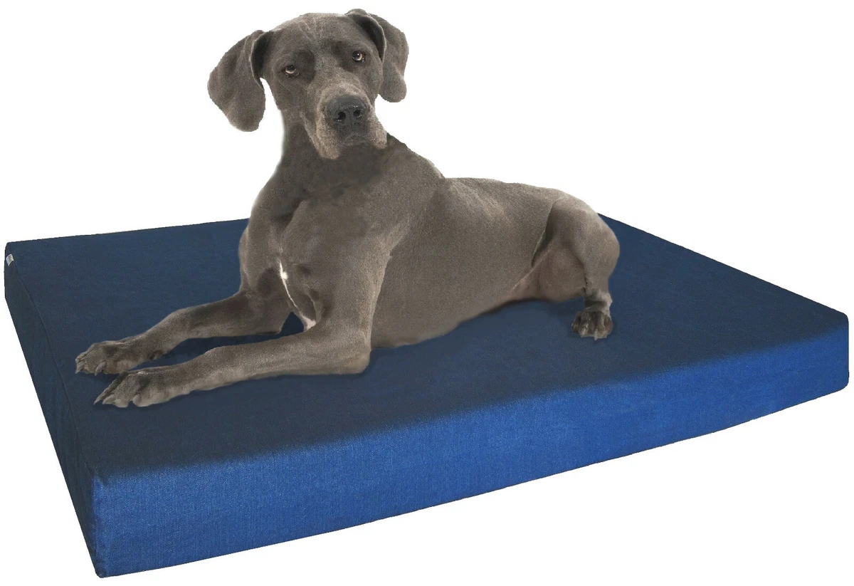 48x30 dog clearance bed