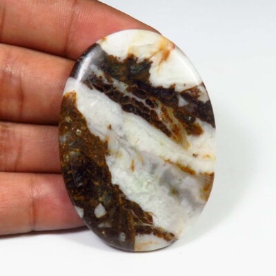 Wild Horse Oval Cabochon 50x35x4mm Natur Wild Horse Jasper 68 Cts WH-91