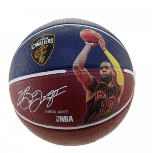 LeBron James NBA Autographed Basketballs for sale