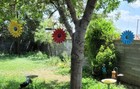 Bild 16 von 22