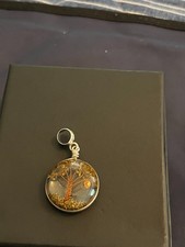 Peruvian 950 Sterling Silver Handcrafted Resi...