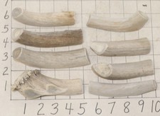 8 Split Deer Antler Dog Chew Treats