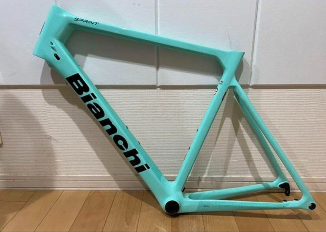 Bianchi Frameset 2021 Sprint Disk Size 57 | eBay