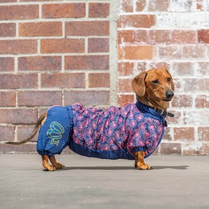 dachshund overalls