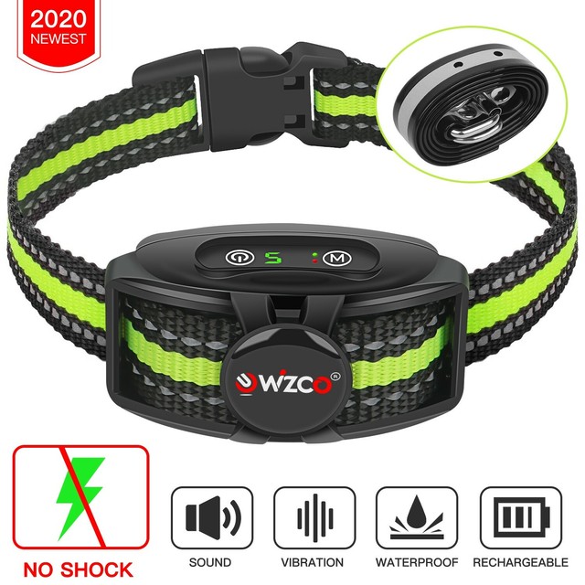 no shock training collar