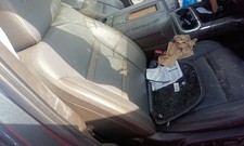 Passenger Front Seat Bucket And Bench Fits 19-26 Silverado 1500 Pickup 868840 Passenger Front Seat Bucket And Bench Fits 19-26 Silverado 1500 Pickup 868840