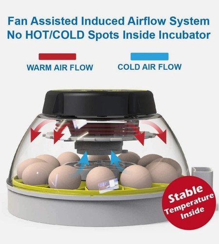 KEBONNIXS 12 Egg Incubator with Humidity Display, Egg Candler, Automatic Egg ... - Picture 5 of 7