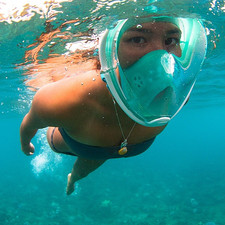 Full Face Snorkel Mask for Adults Anti-Leak Dry Top Snorkeling Diving Mask Panor