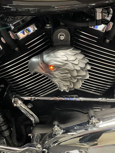 Harley Eagle Horn Cover Aged Aluminum finish with Amber Led eye. EAG-HBA-A - Picture 3 of 4