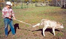 Kalf Katcher Calf Catcher Aluminum Extension Pole w/ Hook Adjustable 5-10ft NEW