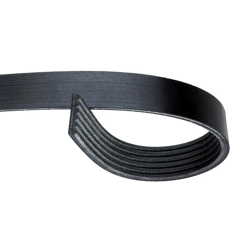 Cinturón Serpentine ACDelco Original para Pontiac Grand Prix 1999-2003 | EPDM | Negro Foto 2 de 4