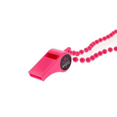 Zac's Alter Ego  Junggesellinnenabschied ''Hottie Pfeife'' an rosa Perlenkette