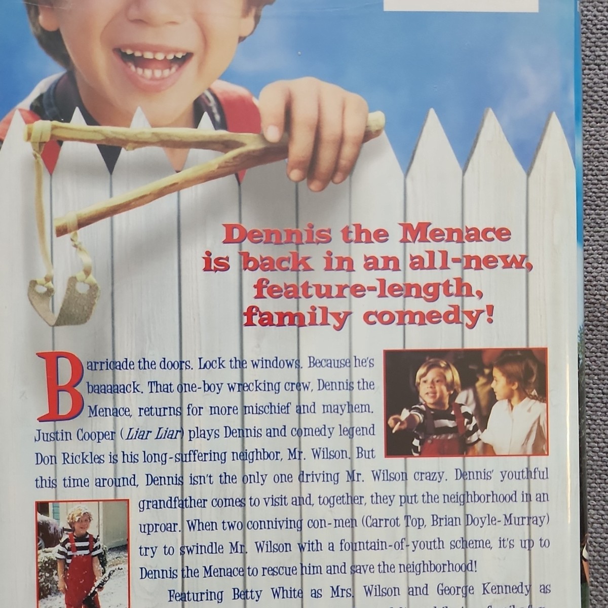 Warner Bros Family Entertainment Dennis the Menace Strikes Again