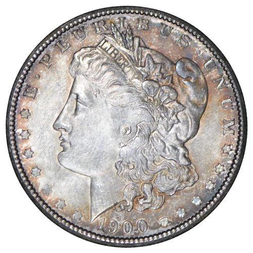 1900 Morgan Silver Dollar ~ XF