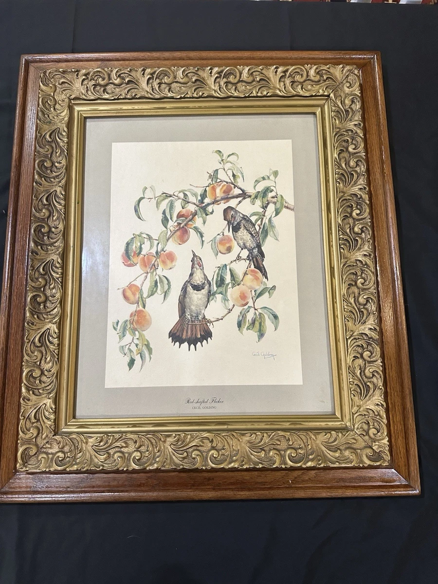 Cecil Golding for sale | eBay