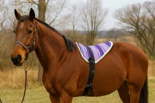 Navajo Padded Bareback Pad with detachable stirrups & Girt Bareback Saddle