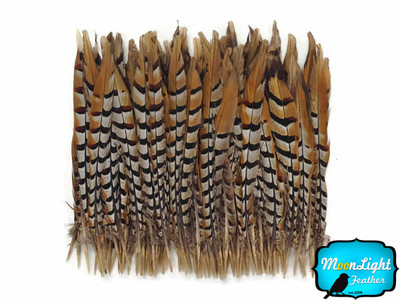 50 Pieces - 14-16'' NATURAL Reeves Venery Pheasant Tail Wholesale Feathers (bulk)