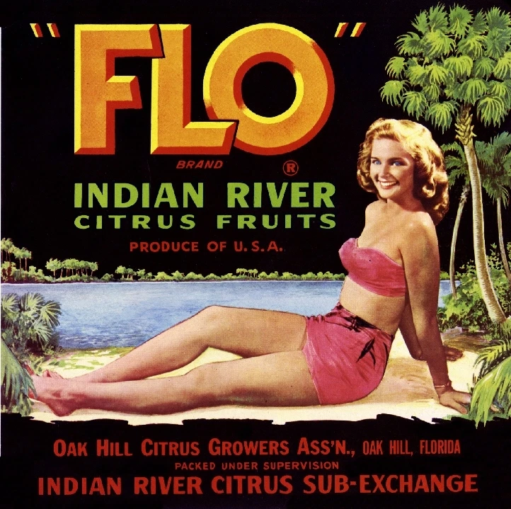 Oak Hill Florida "Flo" Bathing Beauty Orange Citrus Fruit Crate Label Art Print