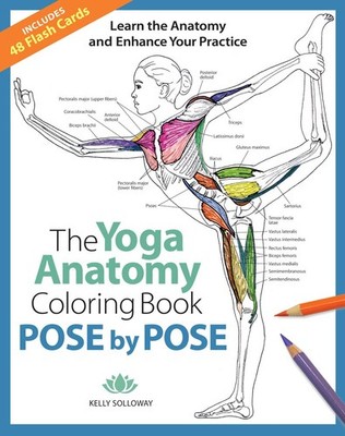 Pose by Pose: Learn the Anatomy and Enhance Your Practice (Volume 2) (Anatom...
