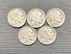 Lot Of 5 1937 P Buffalo Nickel Philadelphia Mint Full Date Horn And Tail Visible