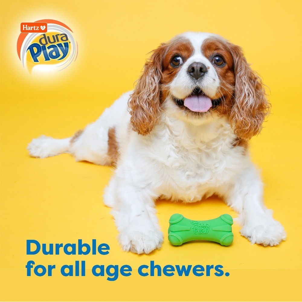 DuraPlay Latex Medium Dog Chew Bone Toy 3 Pack