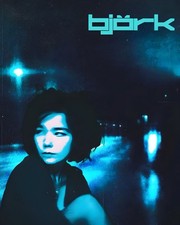 Póster Bjork 11x14 Serie Vintage Fotografía Estilo Era Años 90