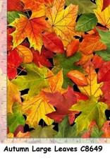 Fall Foliage Large Leaves cotton quilt fabric by Timeless Treasures C8649