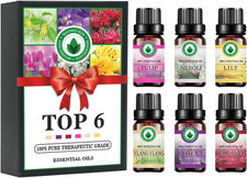 Blumen &Auml;therische &Ouml;le Set, Aromatherapie&ouml;le Top 6 100% Reine Bio-Natura Therapeu