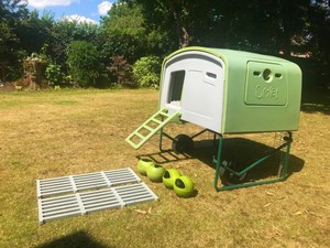 Omlet Eglu Chicken Ads Buy Sell Used Find Great Prices