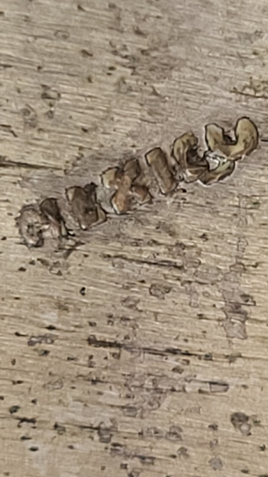 Unique Reconstituted Turquoise/Silver Bracelet - image 3