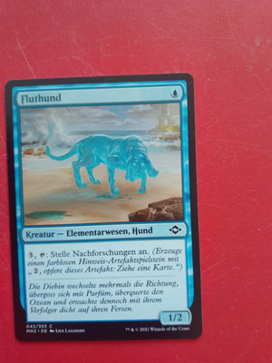 MAGIC THE GATHERING Fluthund 2021 Deutsch 042/303