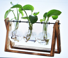 XXXFlower Plant Terrarium w Wooden Stand Air Planter 3 Bulb Vase Swivel Holder