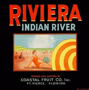 Fort Pierce Florida Indian River Curlew Orange Citrus Fruit Crate Label Print