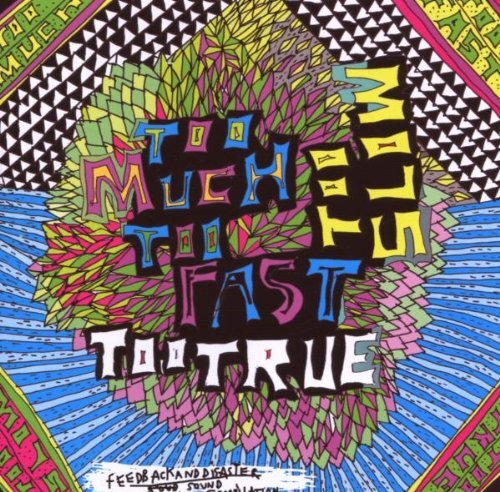 Various Too Much Too Fast Too True Too (CD)