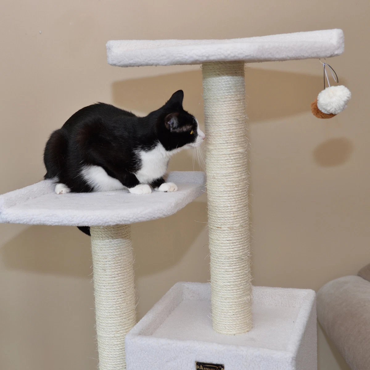 Jackson galaxy cat best sale tree
