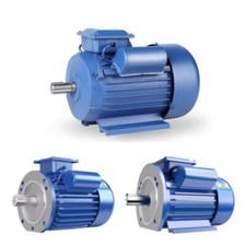 Motore elettrico monofase 220V 750W 1HP potente tutto rame 19MM 1400/2800RPM