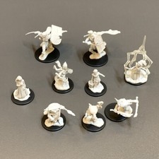 Lot 8 Orcs Gnome Female Druid Paladin Dungeons  Dragon D D Miniatures Figures
