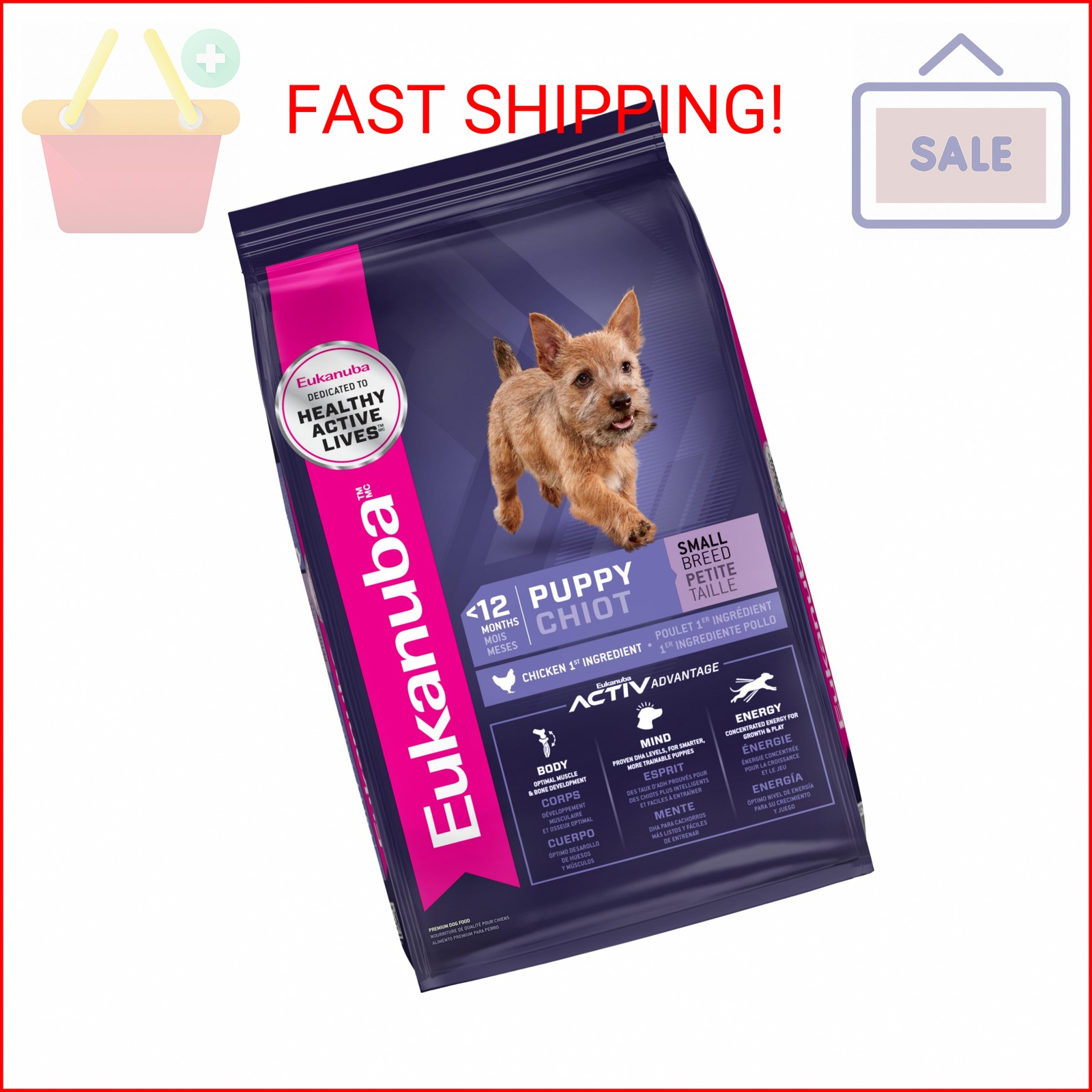 Eukanuba Puppy Small Breed Dry Dog Food, 4.5 Pound (Pack of 1)