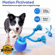 BENTOPAL Interactive Doggie Ball Toy Small Puppy Blue Chase Busy