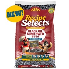 Recipe Selects Black Oil Sunflower Seed Dry Wild Bird Feed, Bird Food