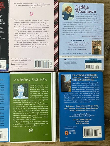 BOYS Chapter Books Lot of 10 ~ 11-13 Years Old - Classroom Library Homeschool - Picture 8 of 12