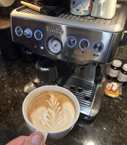 Breville BES870XL Espresso Machine Silver 1600W works fine except grinder