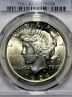 1924 Liberty Peace Dollar PCGS MS-63