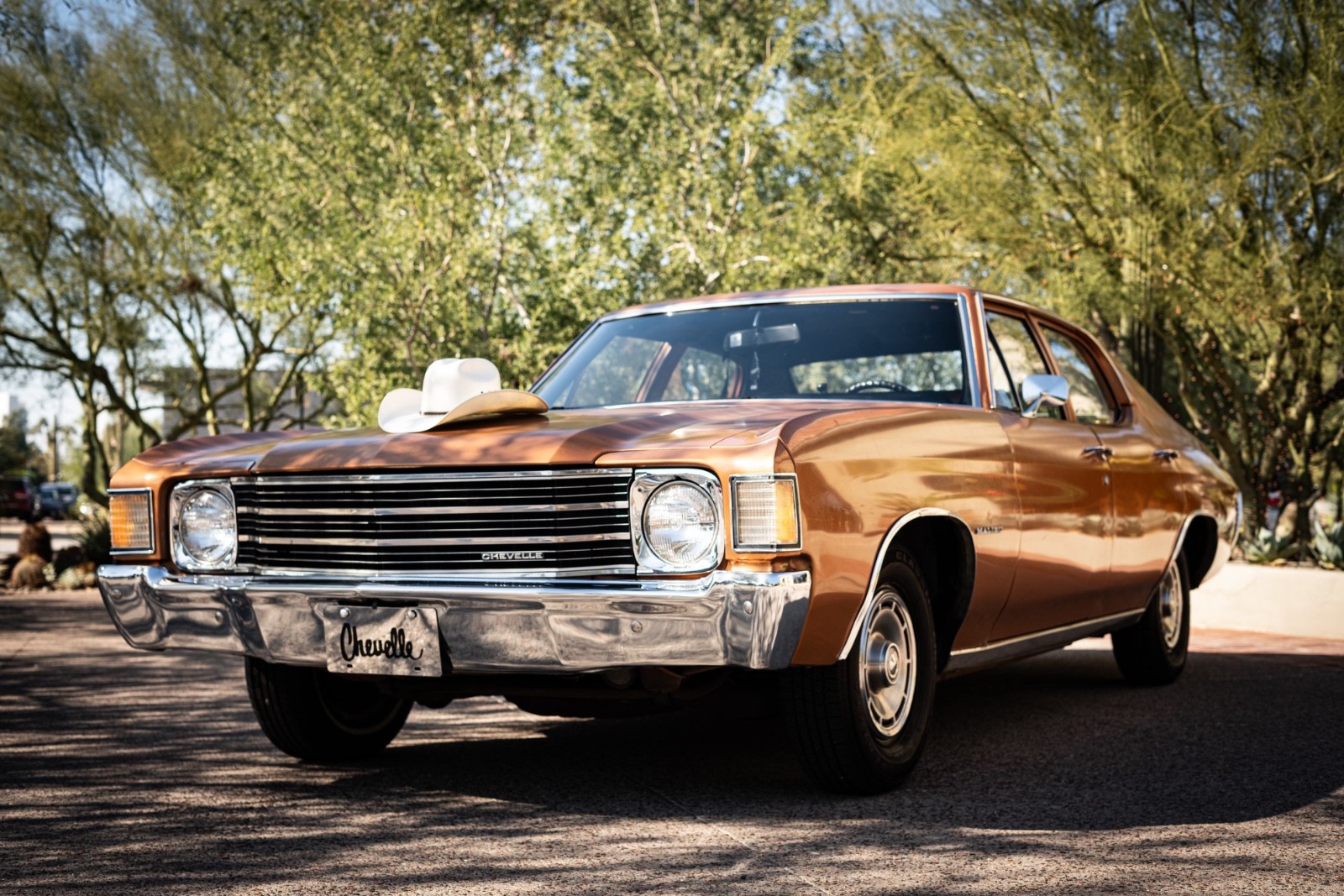 1972 Chevrolet Chevelle for sale in Laveen Arizona