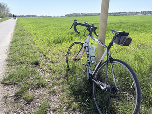 hochwertige fahrradsattel SpeedGel Fam_Lvl_4: Schutzbleche Model:Free Cube Nature Cube Bike