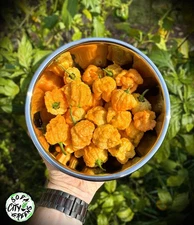 Fried Chicken Pepper Seeds