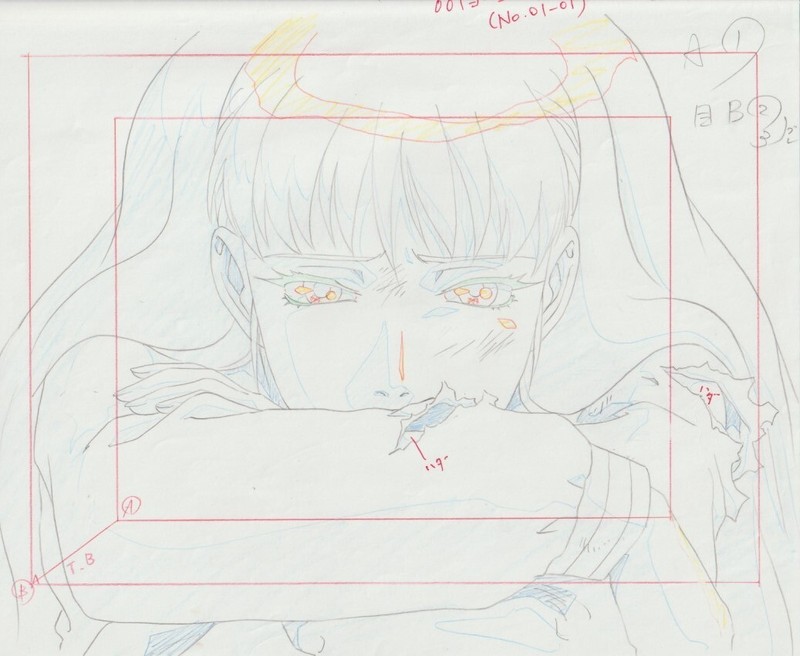 The Twelve Kingdoms Juuni Kokki Genga Douga Original Sketches Pierrot - Youko