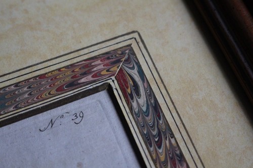 Late 18 C W.Curtis Hand Coloured Botanical Lithograph Plates Faux Marble Mounts - Picture 11 of 18