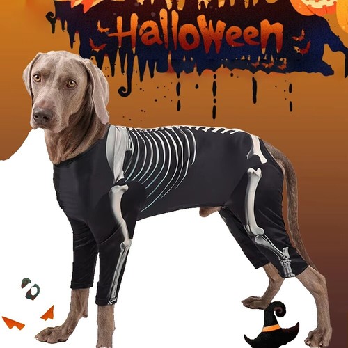 Costume D’Halloween Pour Chien – Squelette – Tissu Respirant – Tailles L à 3XL – Pour Fêtes Et Photos - 7